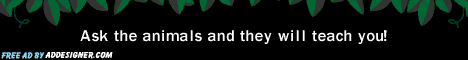 God created the earth